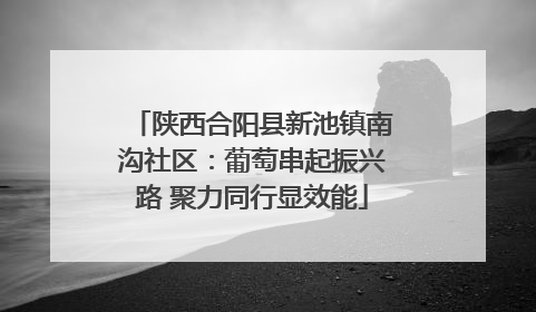 陕西合阳县新池镇南沟社区：葡萄串起振兴路 聚力同行显效能