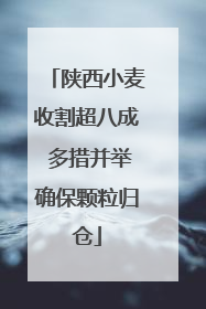 陕西小麦收割超八成 多措并举确保颗粒归仓