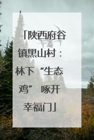 陕西府谷镇黑山村：林下“生态鸡” 啄开幸福门