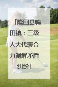 隆回县鸭田镇：三级人大代表合力调解矛盾纠纷