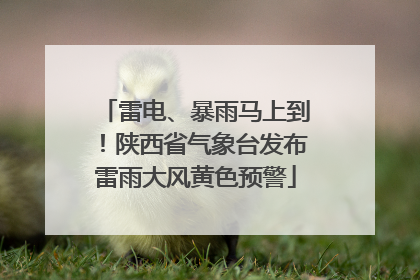 雷电、暴雨马上到！陕西省气象台发布雷雨大风黄色预警