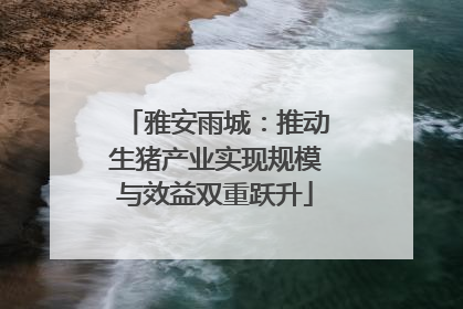 雅安雨城：推动生猪产业实现规模与效益双重跃升