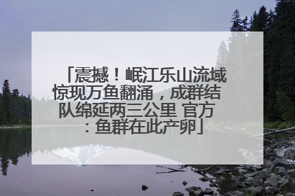 震撼！岷江乐山流域惊现万鱼翻涌，成群结队绵延两三公里 官方：鱼群在此产卵