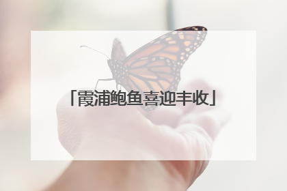 霞浦鲍鱼喜迎丰收