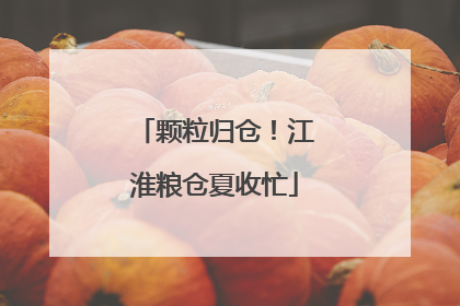 颗粒归仓！江淮粮仓夏收忙
