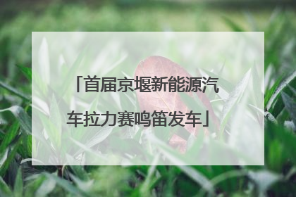 首届京堰新能源汽车拉力赛鸣笛发车