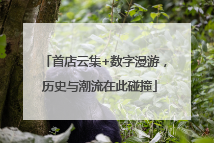 首店云集+数字漫游，历史与潮流在此碰撞