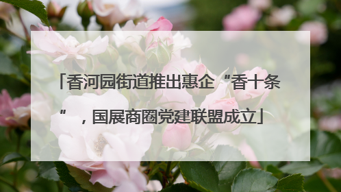 香河园街道推出惠企“香十条”，国展商圈党建联盟成立