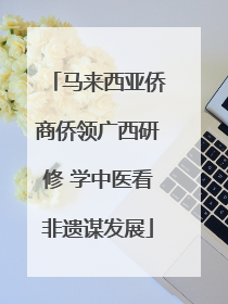 马来西亚侨商侨领广西研修 学中医看非遗谋发展
