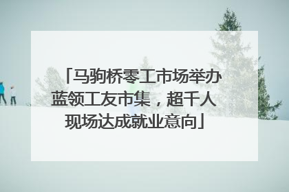 马驹桥零工市场举办蓝领工友市集，超千人现场达成就业意向