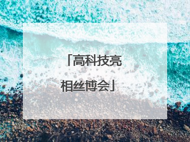 高科技亮相丝博会