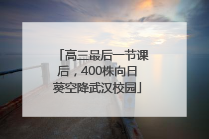 高三最后一节课后，400株向日葵空降武汉校园