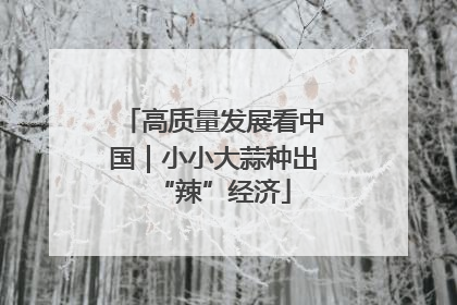 高质量发展看中国｜小小大蒜种出“辣”经济