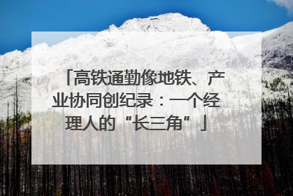 高铁通勤像地铁、产业协同创纪录：一个经理人的“长三角”