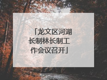 龙文区河湖长制林长制工作会议召开