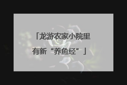 龙游农家小院里有新“养鱼经”