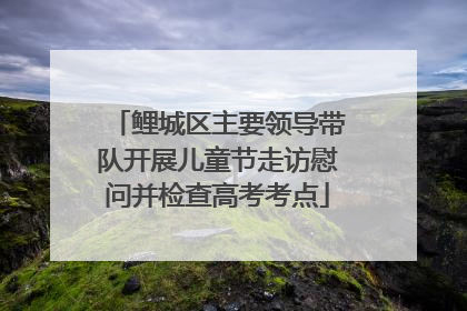 鲤城区主要领导带队开展儿童节走访慰问并检查高考考点