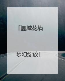 鲤城花墙 梦幻绽放