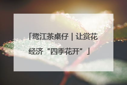 鹭江茶桌仔｜让赏花经济“四季花开”