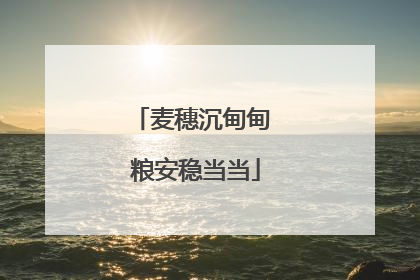 麦穗沉甸甸 粮安稳当当