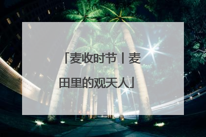 麦收时节丨麦田里的观天人