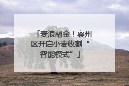 麦浪翻金！襄州区开启小麦收割“智能模式”