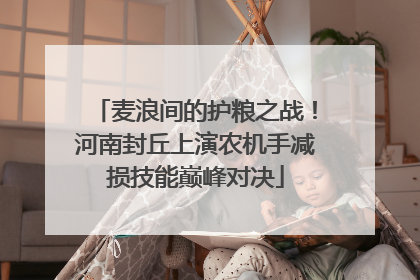 麦浪间的护粮之战！河南封丘上演农机手减损技能巅峰对决