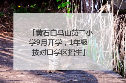 黄石白马山第二小学9月开学，1年级按对口学区招生