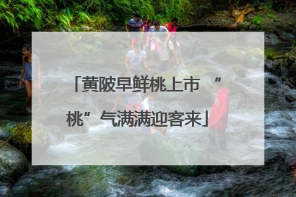 黄陂早鲜桃上市 “桃”气满满迎客来