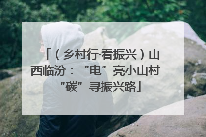 （乡村行·看振兴）山西临汾：“电”亮小山村 “碳”寻振兴路