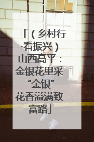 （乡村行·看振兴）山西高平：金银花里采“金银” 花香溢满致富路