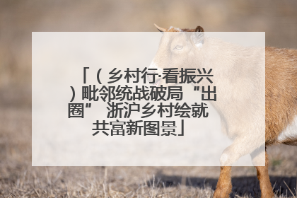（乡村行·看振兴）毗邻统战破局“出圈” 浙沪乡村绘就共富新图景