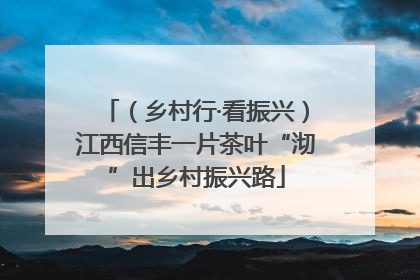 （乡村行·看振兴）江西信丰一片茶叶“沏”出乡村振兴路