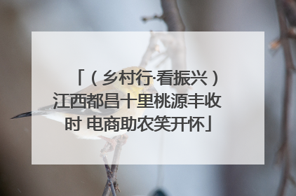 （乡村行·看振兴）江西都昌十里桃源丰收时 电商助农笑开怀