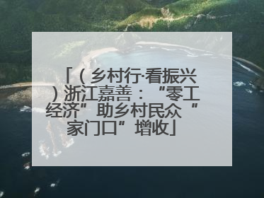 （乡村行·看振兴）浙江嘉善：“零工经济”助乡村民众“家门口”增收