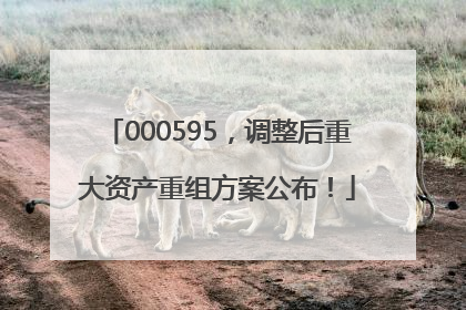 000595，调整后重大资产重组方案公布！