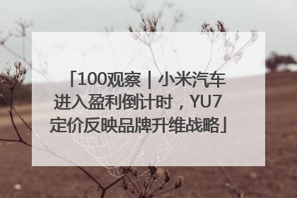100观察｜小米汽车进入盈利倒计时，YU7定价反映品牌升维战略