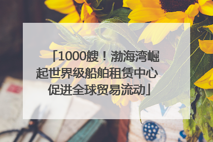 1000艘！渤海湾崛起世界级船舶租赁中心 促进全球贸易流动