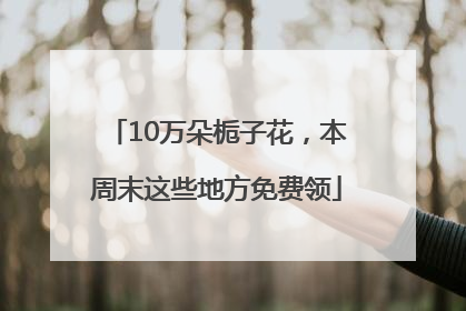 10万朵栀子花，本周末这些地方免费领