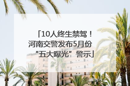 10人终生禁驾！河南交警发布5月份“五大曝光”警示