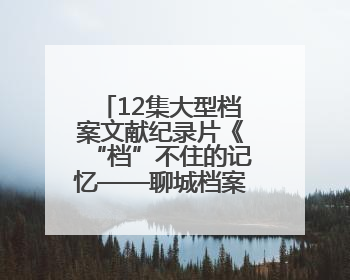 12集大型档案文献纪录片《“档”不住的记忆——聊城档案故事》将于近期播出