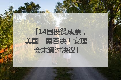 14国投赞成票，美国一票否决！安理会未通过决议