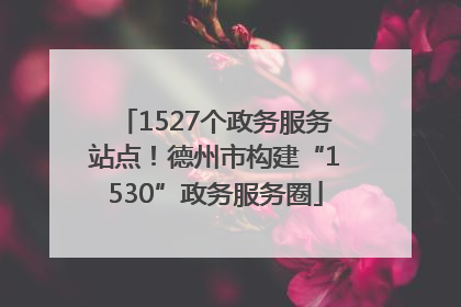 1527个政务服务站点！德州市构建“1530”政务服务圈