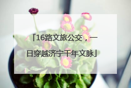 16路文旅公交，一日穿越济宁千年文脉