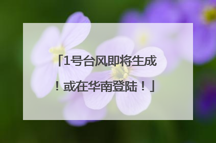 1号台风即将生成！或在华南登陆！
