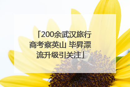 200余武汉旅行商考察英山 毕昇漂流升级引关注