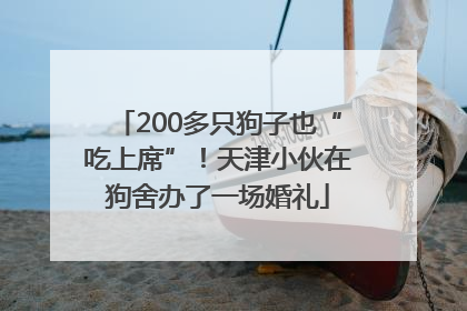200多只狗子也“吃上席”！天津小伙在狗舍办了一场婚礼