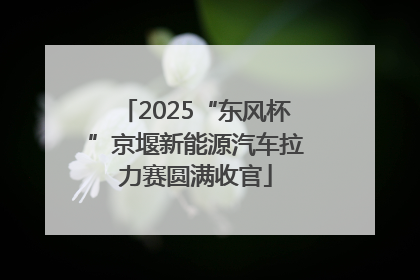 2025“东风杯”京堰新能源汽车拉力赛圆满收官