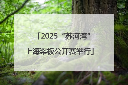 2025“苏河湾”上海桨板公开赛举行