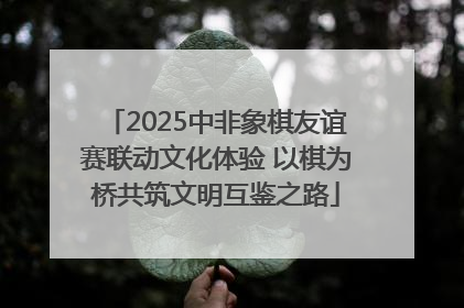 2025中非象棋友谊赛联动文化体验 以棋为桥共筑文明互鉴之路